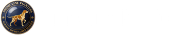 Prime Line Pointers